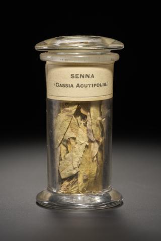 Green herb in the form of dried leaves