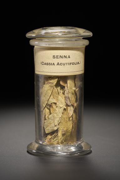 Green herb in the form of dried leaves