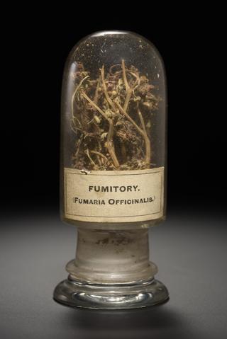 Brown and green herb in the form of dried shoots and flowers