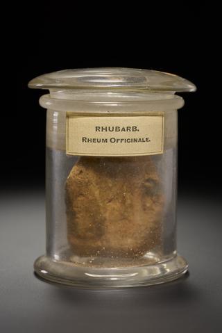 Orange herb in the form of stripped roots