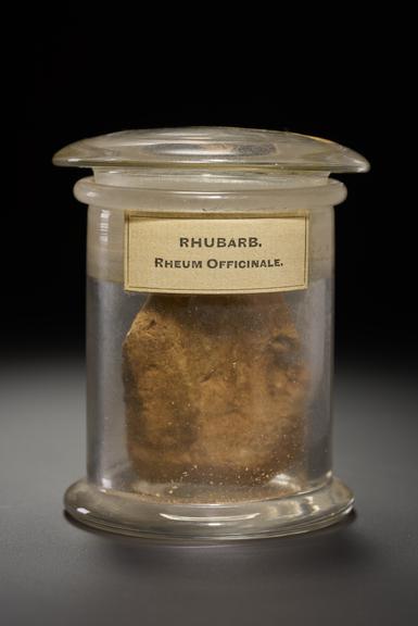 Orange herb in the form of stripped roots