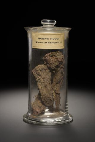 Black herb in the form of dried roots