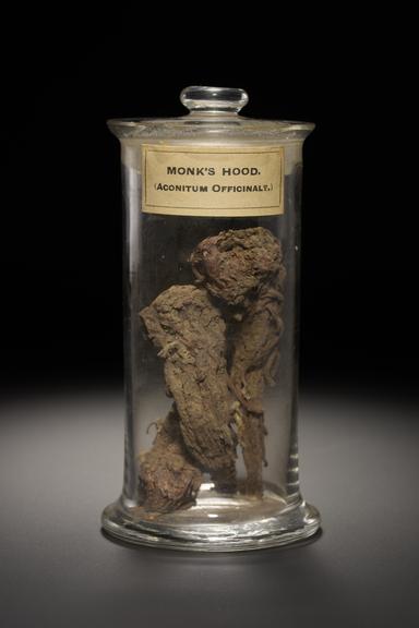 Black herb in the form of dried roots