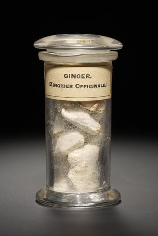 White and brown herb in the form of dried root stem