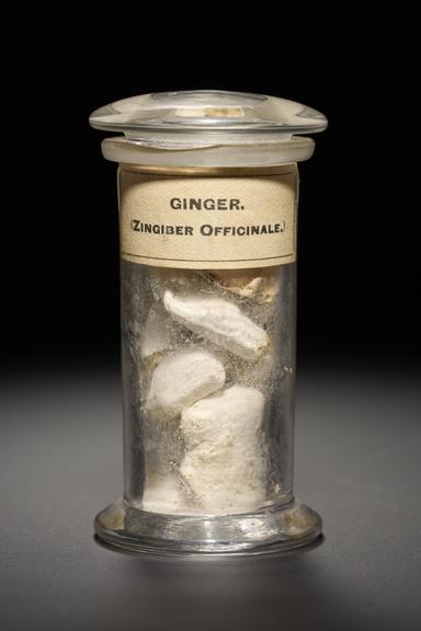 White and brown herb in the form of dried root stem