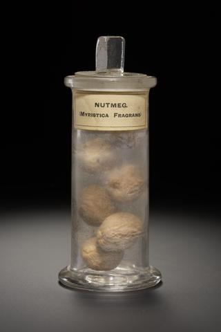 Brown herb in the form of dried kernels