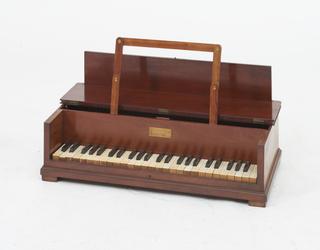 Plucked reed keyboard instrument