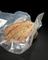 Dehydrated beef burger