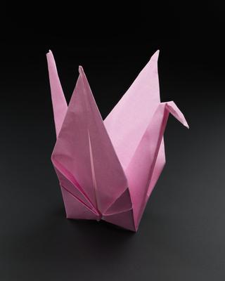 Origami model made by vaccination volunteers