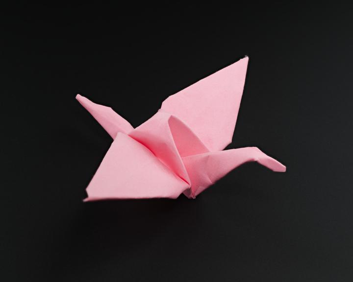 Origami model made by vaccination volunteers