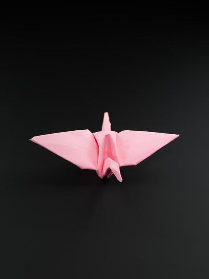 Origami model made by vaccination volunteers