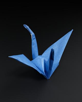 Origami model made by vaccination volunteers