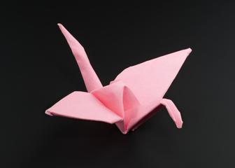 Origami model made by vaccination volunteers