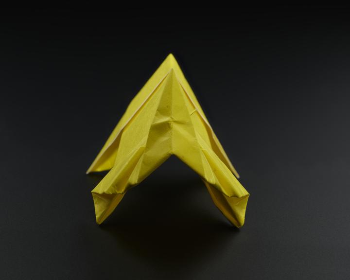 Origami model made by vaccination volunteers