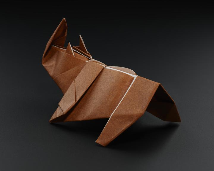 Origami model made by vaccination volunteers