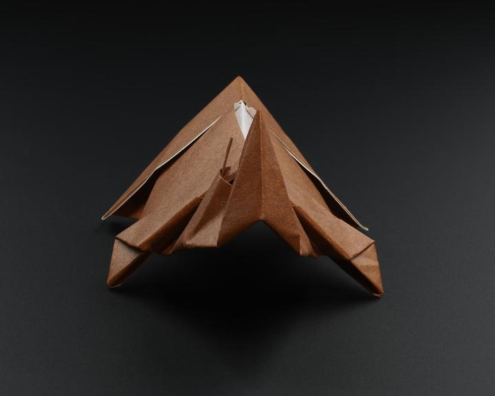 Origami model made by vaccination volunteers