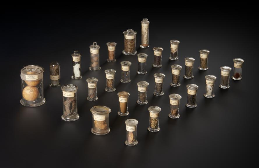 Collection of 28 herbs and drugs mentioned by William Shakespeare in his plays