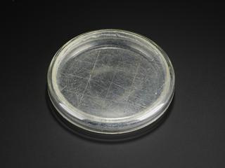 Glass Petri dish used at Beecham Research Laboratories