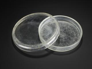 Glass Petri dish used by Martin Cole