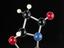 Molecular model of clavulanic acid