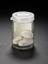 Samples of Augmentin from of the first production batches