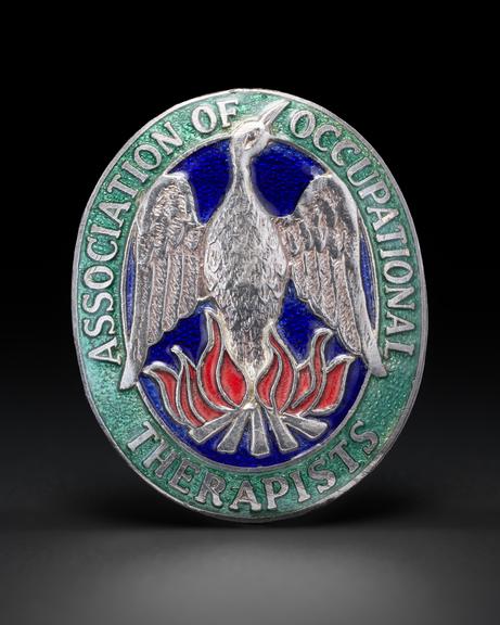 Badge for Association of Occupational Therapists