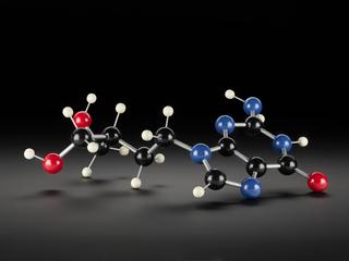 Molecular model of penciclovir
