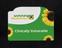 Hidden Disabilities card, with the wording 'Clinically vulnerable'