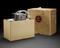Bolex M8 projector modified for widescreen projection