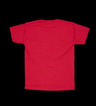 Associated Society of Locomotive Engineers and Firemen (ASLEF) T shirt, red, with the slogan “See it. Say it. PICKET!”