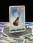 Pepys Series 'Astronaut' card game