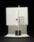 Conceptual prototype of the SAMBA II (Simple AMplification Based Assay)