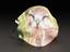 Fabric face covering, personalised with a photograph of a buzzard