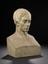 Plaster copy of bust of Augustine Fresnel