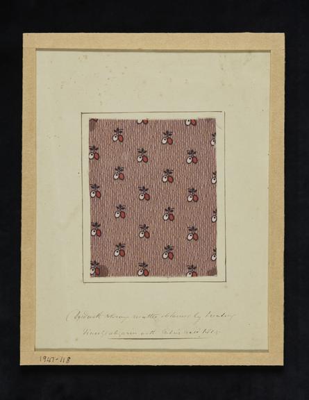 cloth
