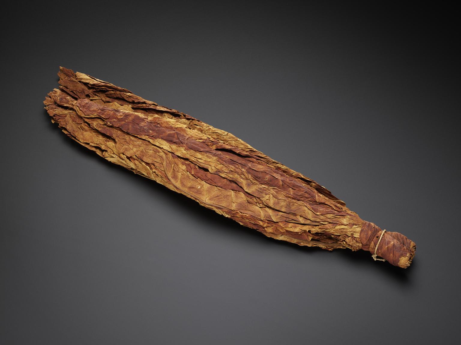Virginia tobacco leaves