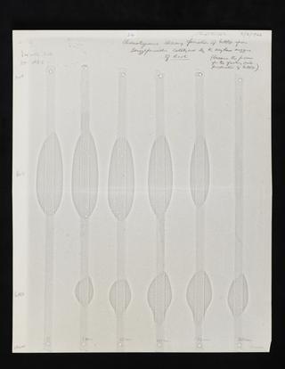 Biochromatograms illustrating the conversion of benzylpenicillin to 6-APA