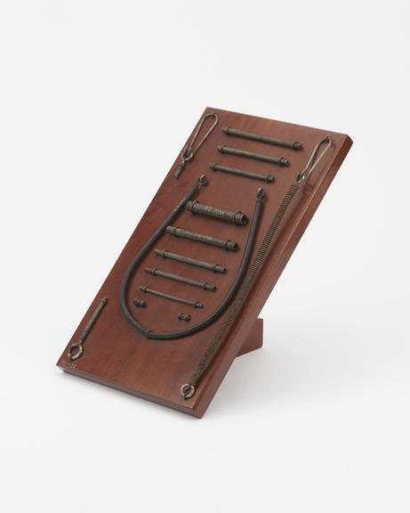 Fourteen specimens of coiled steel bands and cords mounted on a board