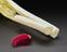 3D printed forearm, used to plan the removal of bone cancer