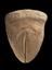 Votive vulva