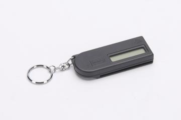 Balance Reader on a keychain, Mondex Electronic Cash System