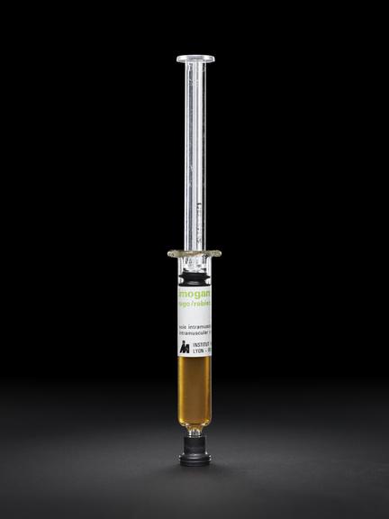Barrel of a syringe containing human rabies immunoglobin vaccine