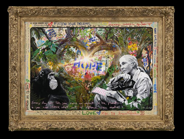 Portrait of Dr Jane Goodall