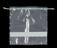 Homogenizing blender filter bag