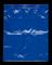Blue plastic bag