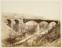 Photographs of the Works in Progress of the Midland Railway