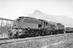 Ransome-Wallis collection