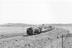 Ransome-Wallis collection