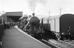 Ransome-Wallis collection