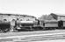 Ransome-Wallis collection